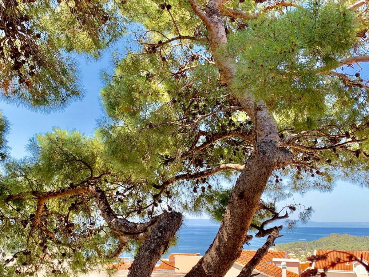 17 Pines Lägenhet Makarska Exteriör bild