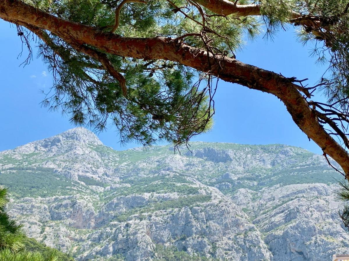 17 Pines Lägenhet Makarska Exteriör bild